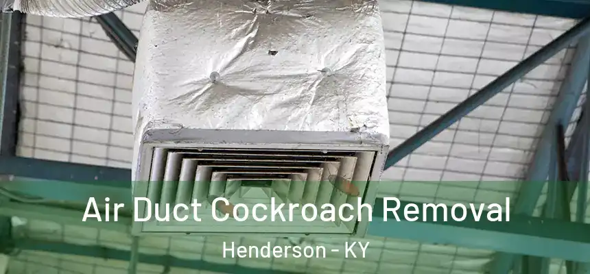  Air Duct Cockroach Removal Henderson - KY