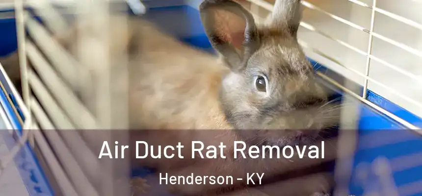  Air Duct Rat Removal Henderson - KY
