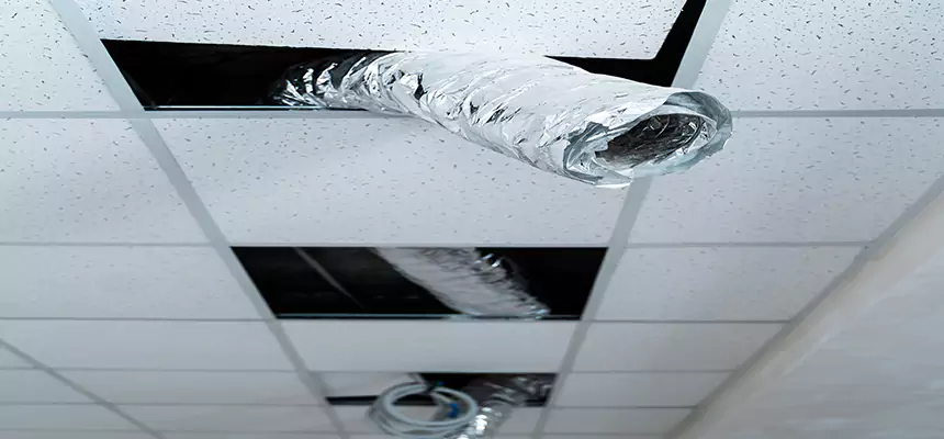 Our Air Duct Pet Hair Removal Services in Henderson, KY