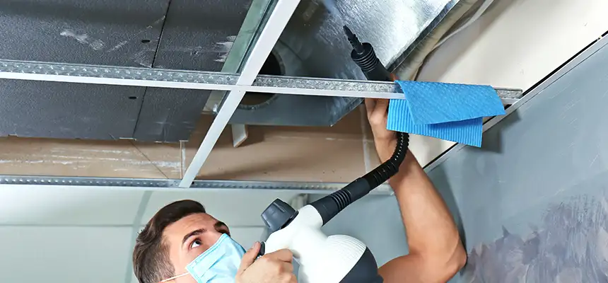 Our Air Duct Rodent Removal Services in Henderson, KY