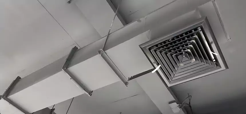 Our Rodent Droppings In Vents Services in Henderson, KY