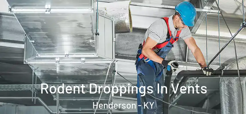  Rodent Droppings In Vents Henderson - KY