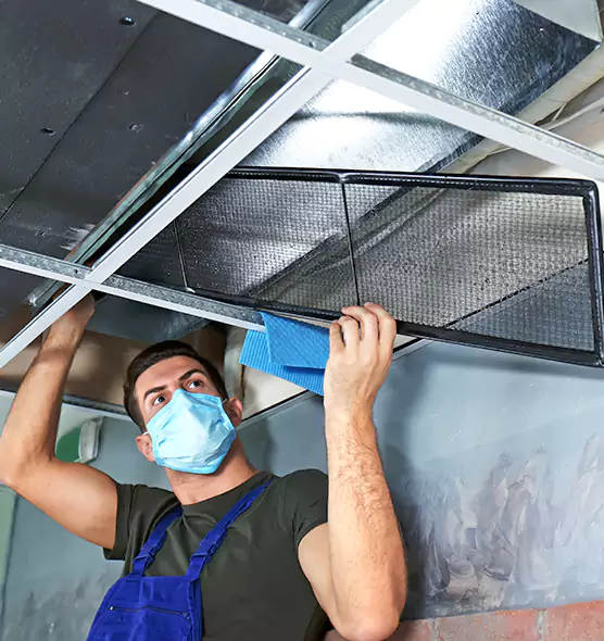 Professional Air Duct Pollen Cleaning in Henderson, KY