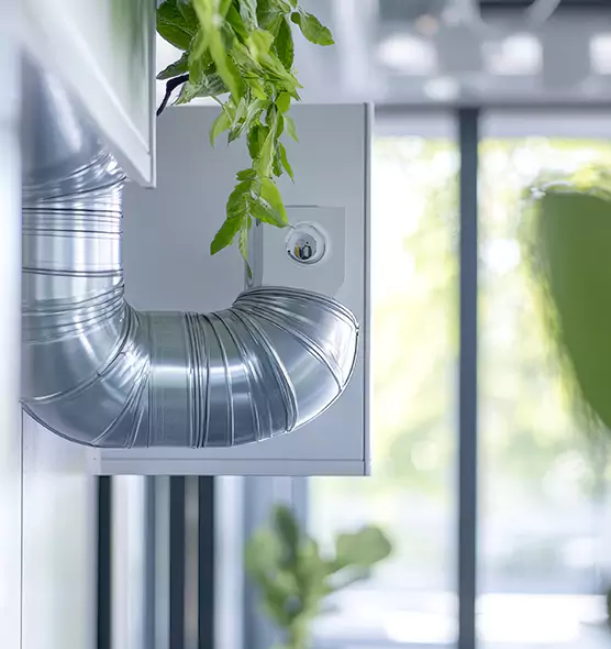 Professional Eco-Friendly Duct Cleaning Services in Henderson, KY