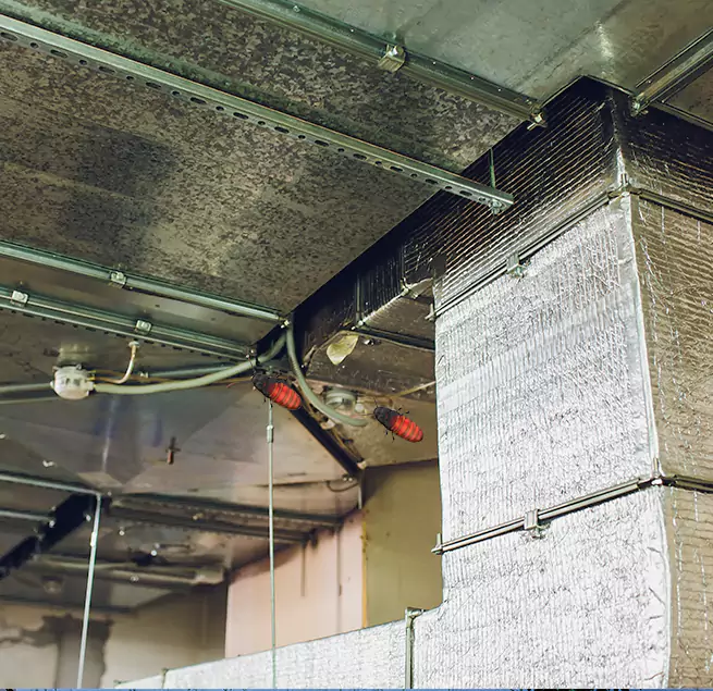 Why Homeowners & Businesses Trust Us in Henderson, KY?