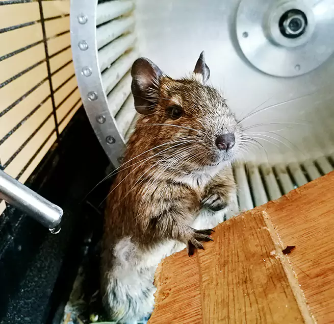 Why Homeowners & Businesses Trust Us Henderson, KY?