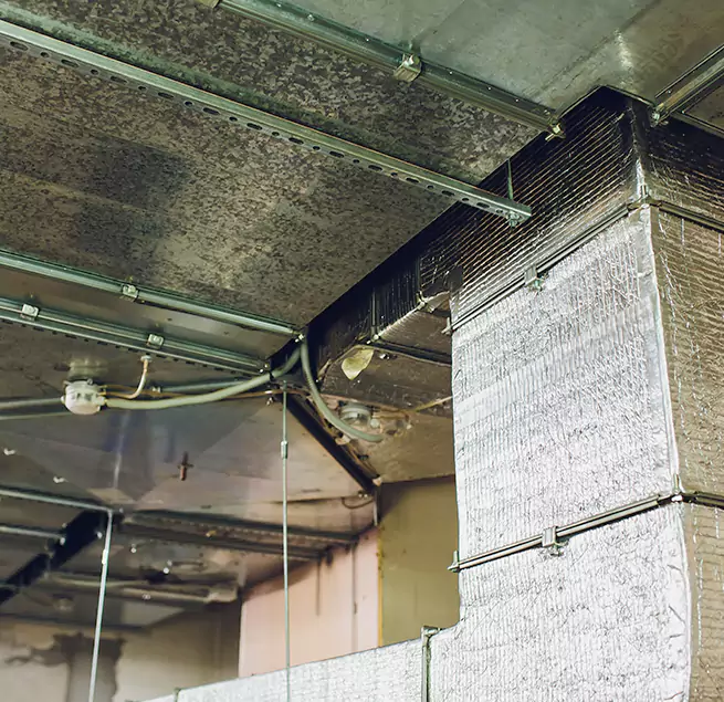 Why Homeowners & Businesses Trust Us in Henderson, KY?