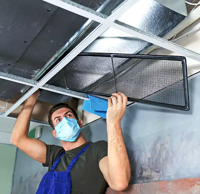 Why Homeowners Businesses Trust Us in Henderson, KY